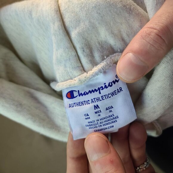 Retro 'Champion' Notre Dame greyish-white varsity hoodie pullover sweatshirt M - Picture 3 of 3